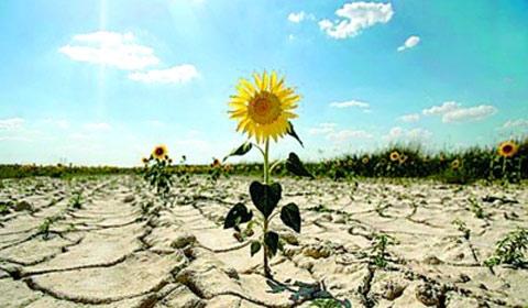 u=2250806950,1106460219&fm=27&gp=0.jpg u=2250806950,1106460219&fm=27&gp=0.jpg